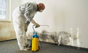 Mold Removal for HVAC Installations in Central Point, OR